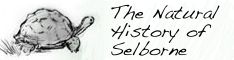 Natural History of Selborne
