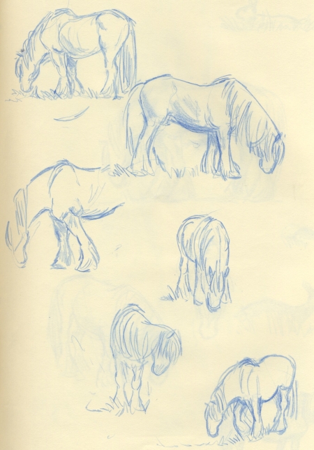 pony sketch