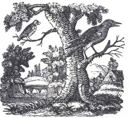 T. Bewick or his school